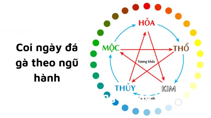 Xem ngày gà đá theo ngũ hành