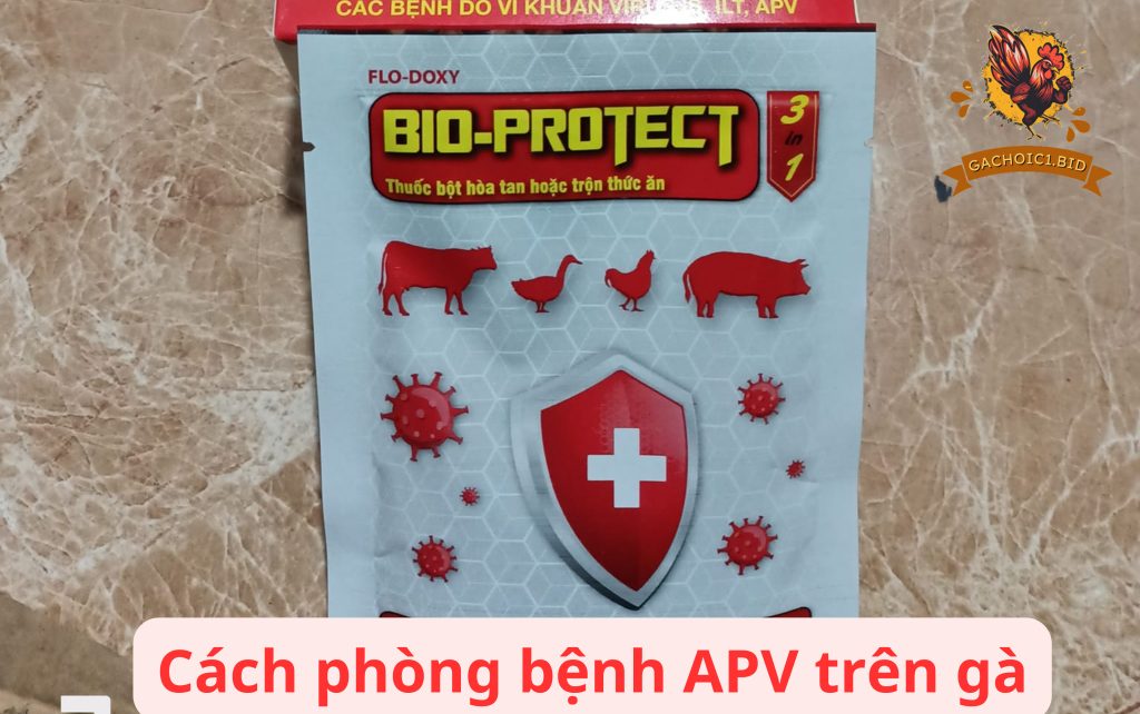 Cách phòng bệnh APV trên gà