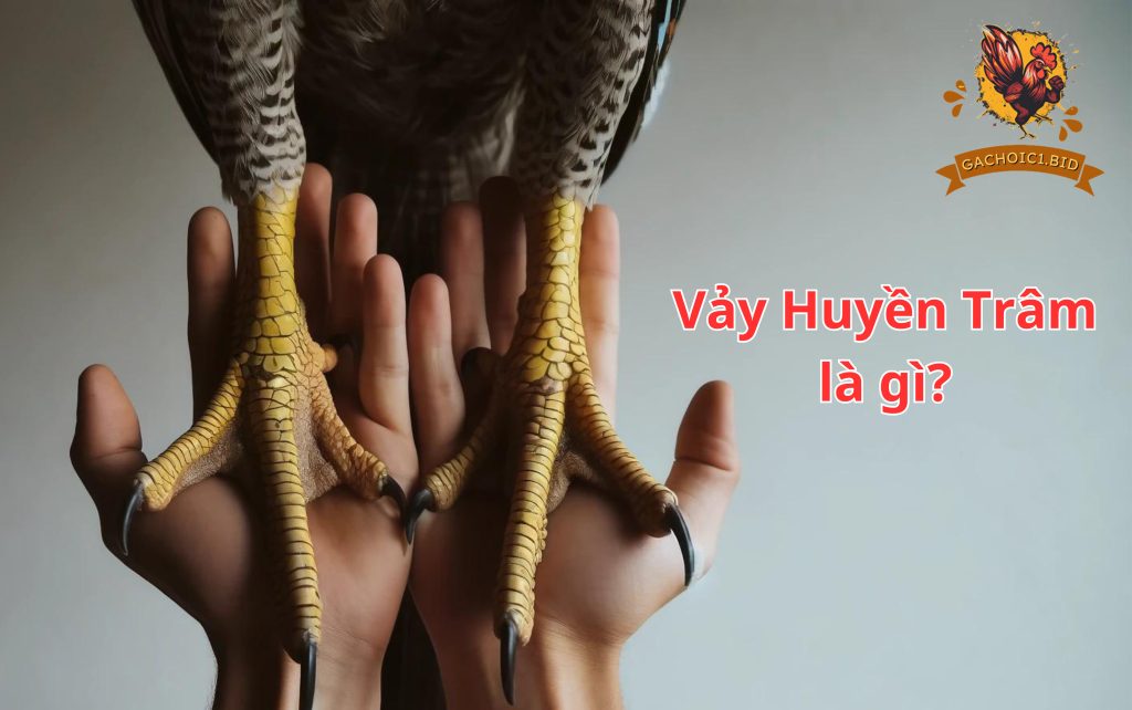 Vảy Huyền Trâm là gì?