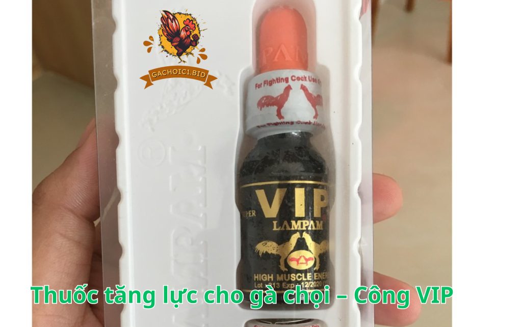 Thuốc tăng lực cho gà chọi – Công VIP