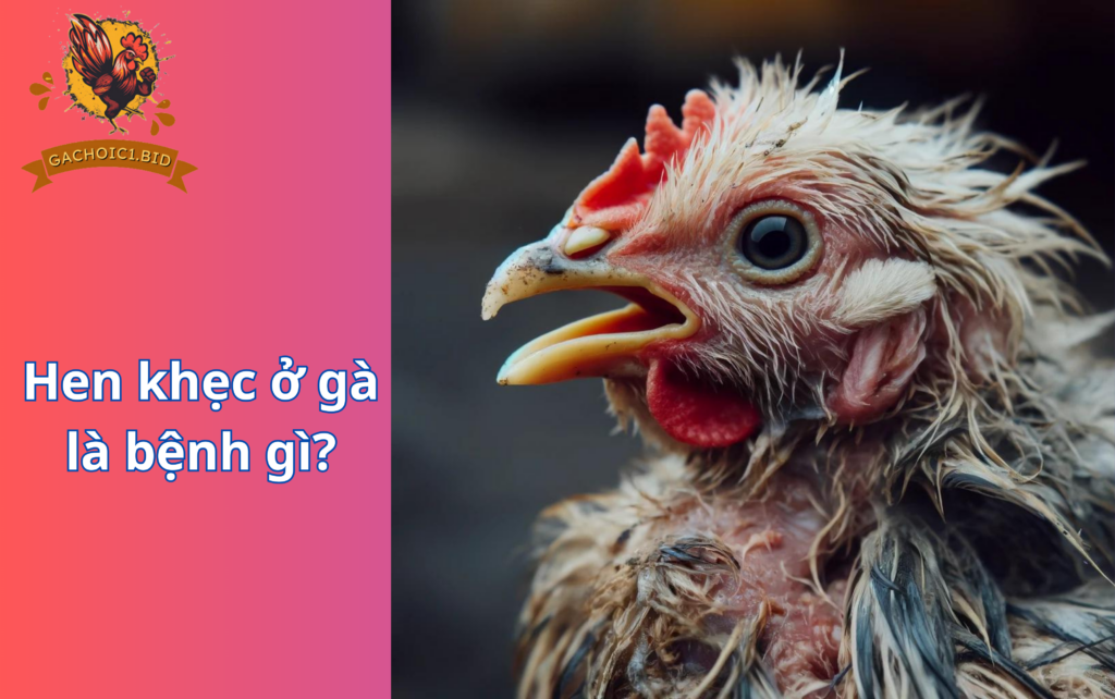 Hen khẹc ở gà là bệnh gì?