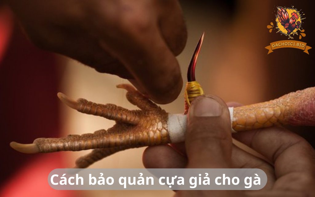 Cách bảo quản cựa giả chuẩn nhất 