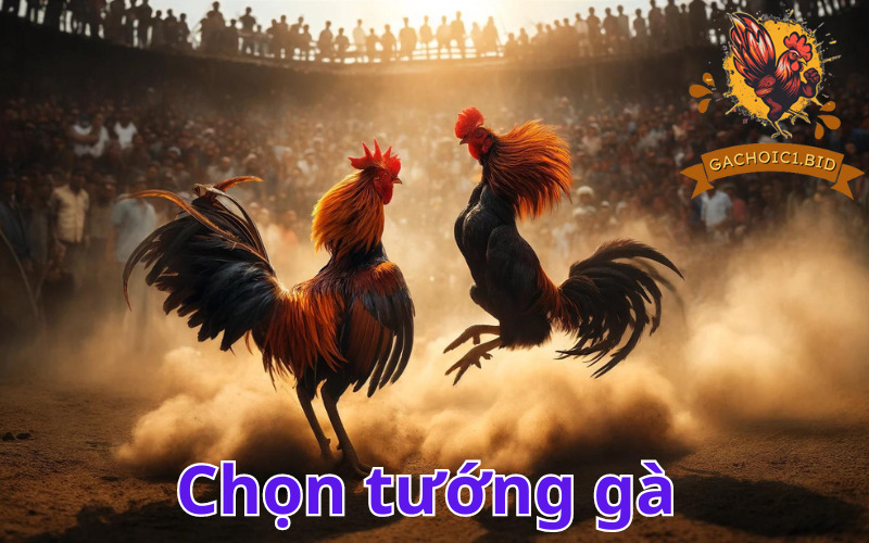 Bí kíp đá gà - Chọn tướng gà