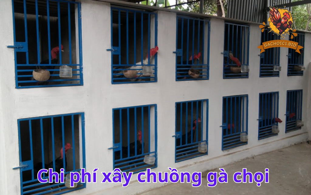 Chi phí xây chuồng gà chọi bằng gạch