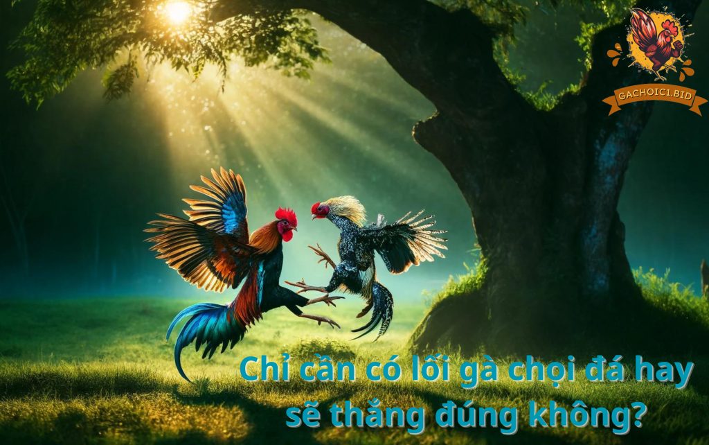 Chỉ cần có lối gà chọi đá hay sẽ thắng đúng không?