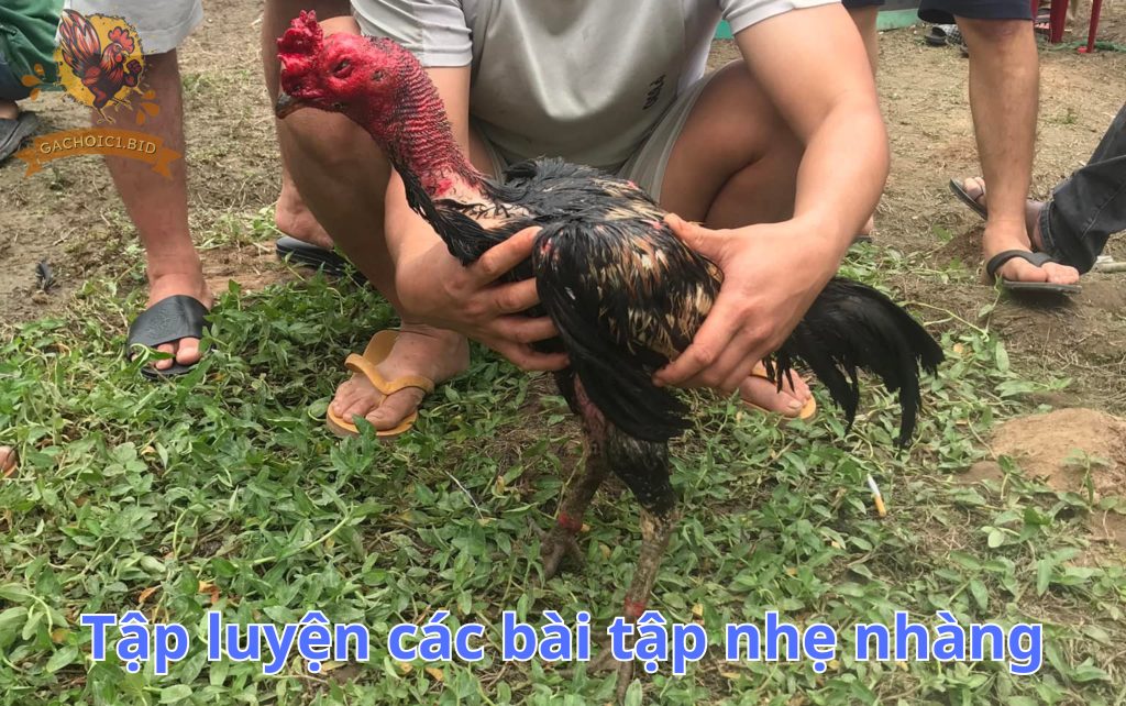 Tập luyện các bài tập nhẹ nhàng