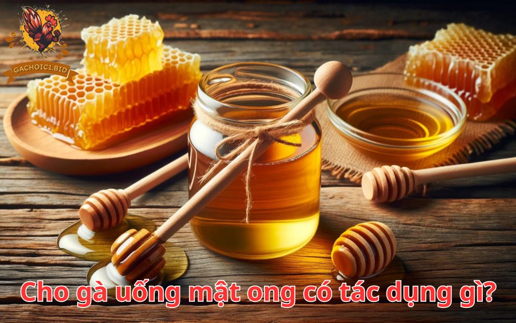 Cho gà uống mật ong có tác dụng gì?