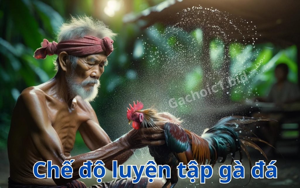 Chế độ luyện tập gà đá