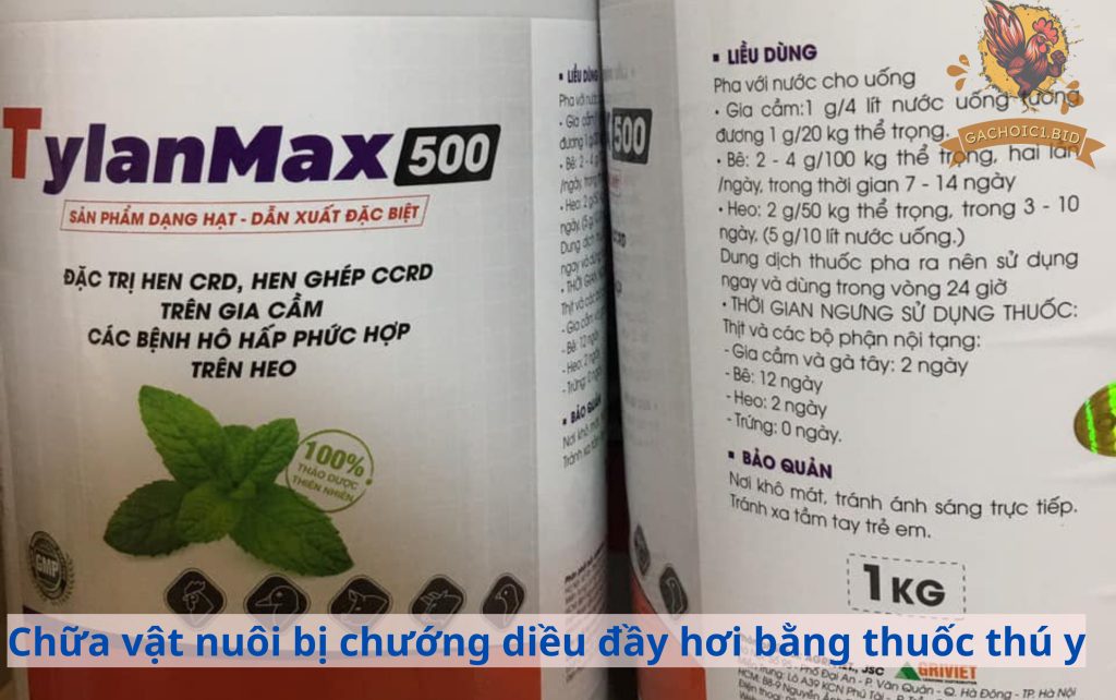 Chữa vật nuôi bị chướng diều đầy hơi bằng thuốc thú y