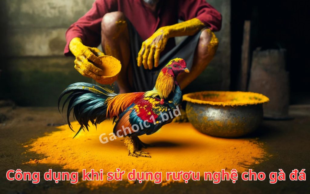 Công dụng khi sử dụng rượu nghệ cho gà đá