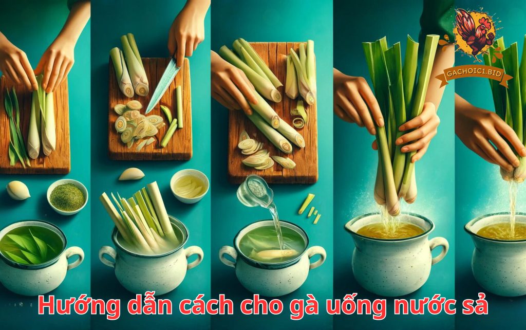 Hướng dẫn cách cho gà uống nước sả