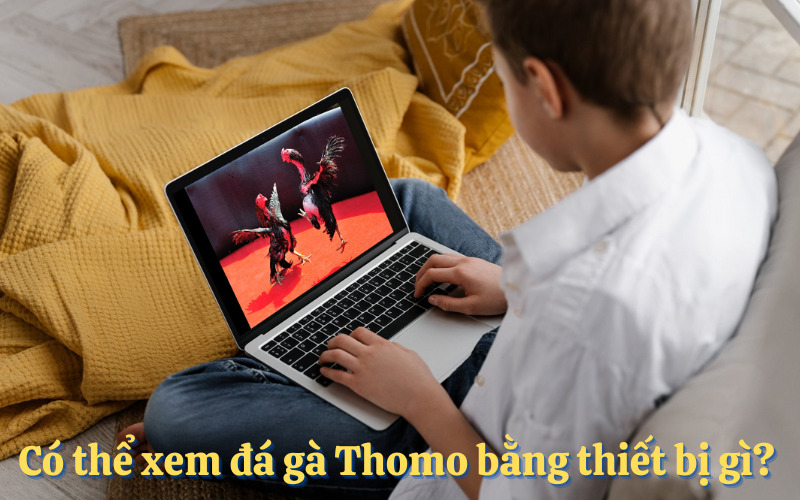 Có thể xem đá gà Thomo bằng thiết bị gì? 