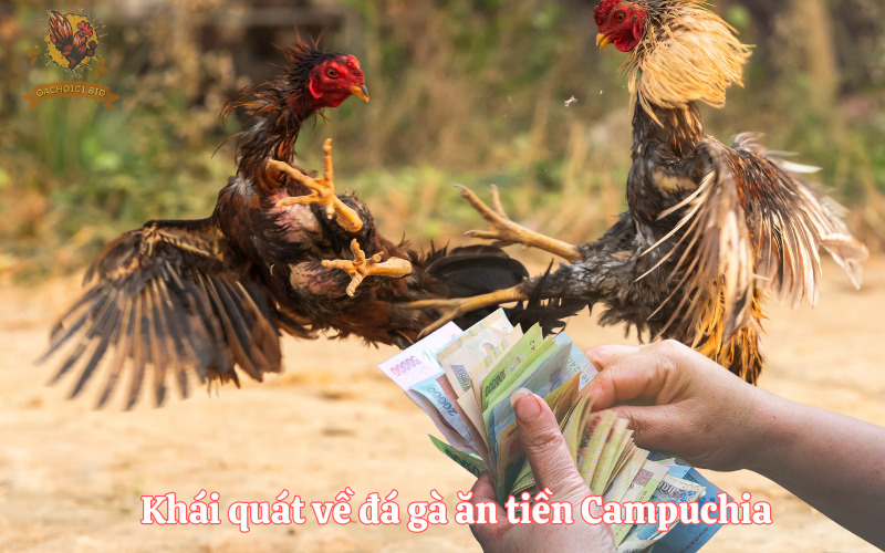 Khái quát về đá gà ăn tiền Campuchia